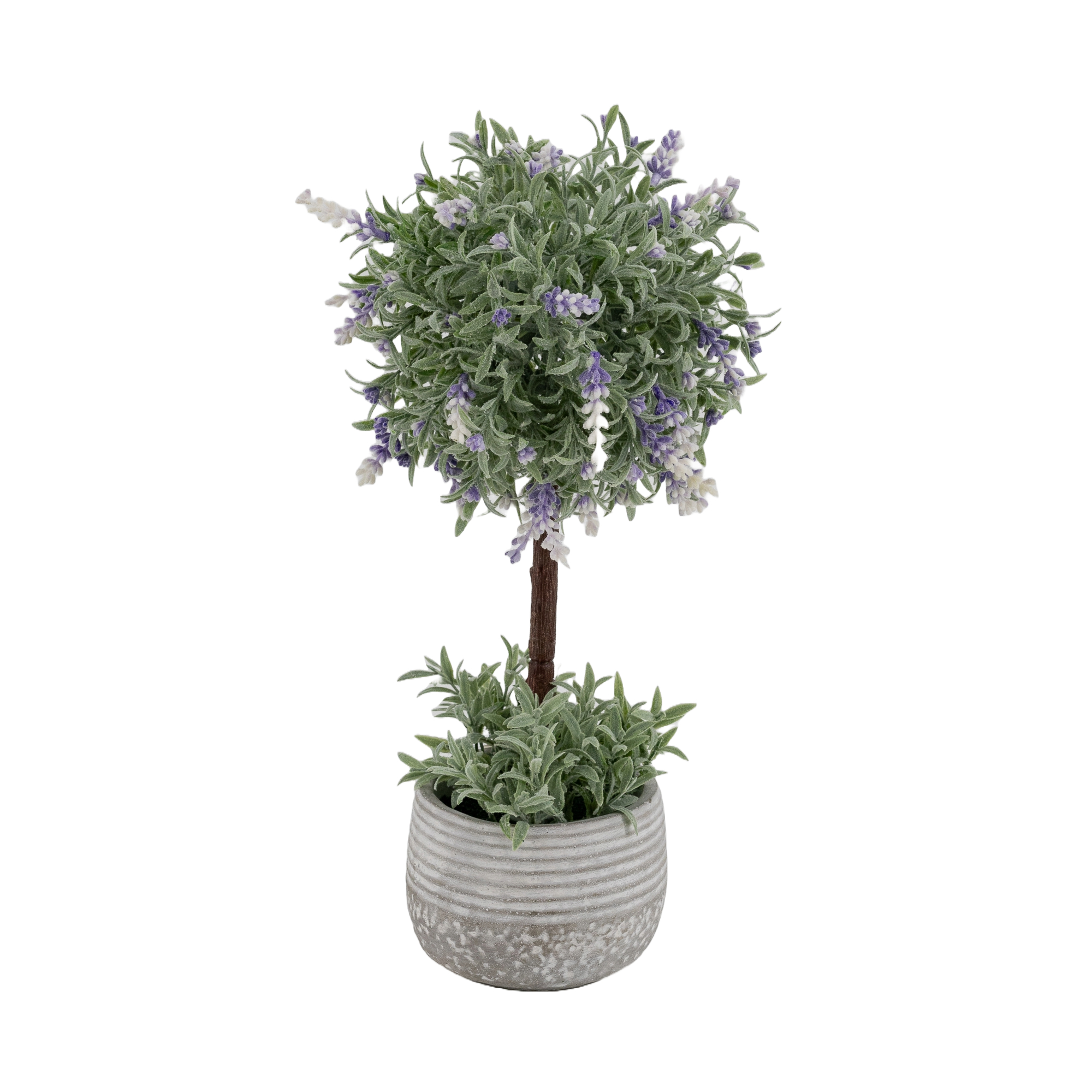 Lavendel Stämmchen